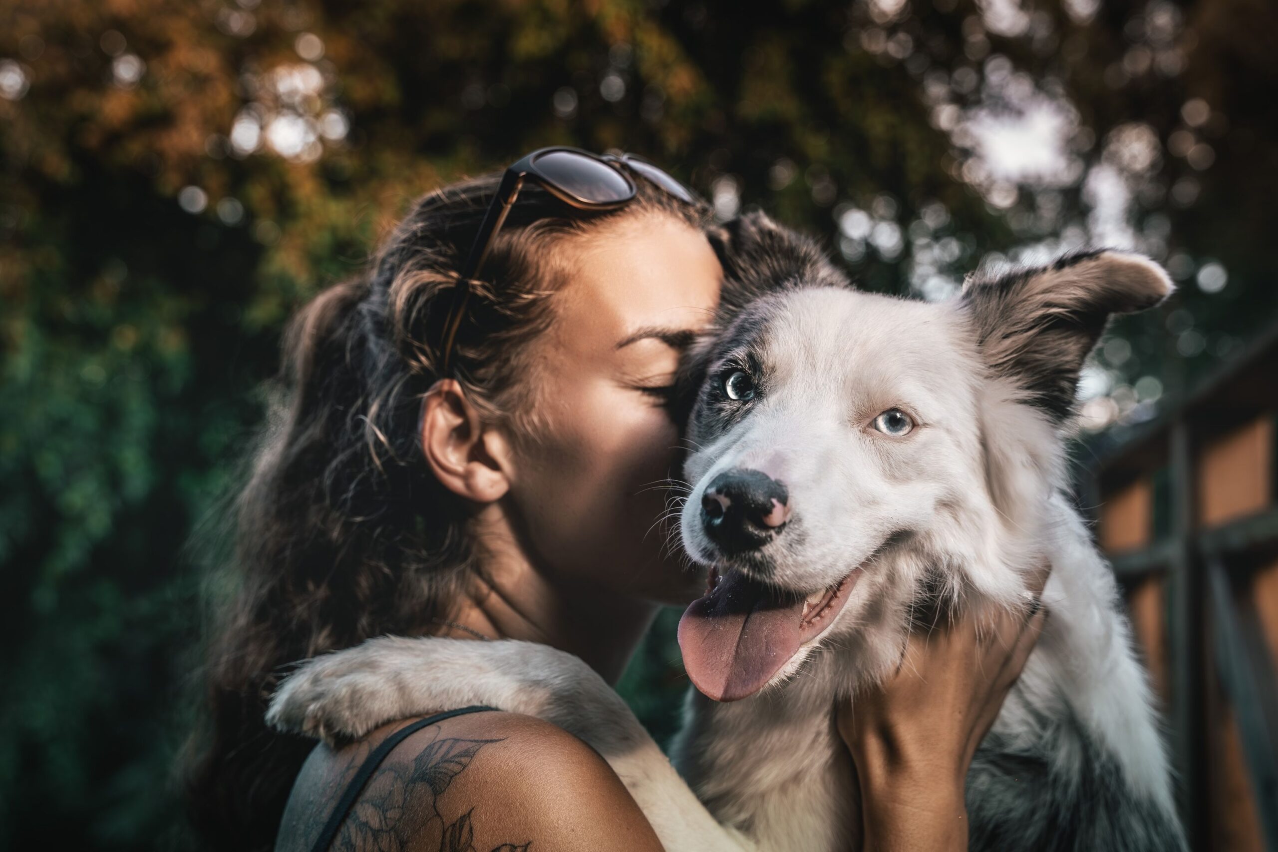 Kurs na trenera psów