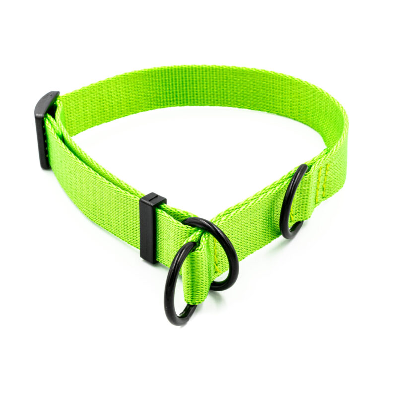 Obroża półzaciskowa mono seledynowa