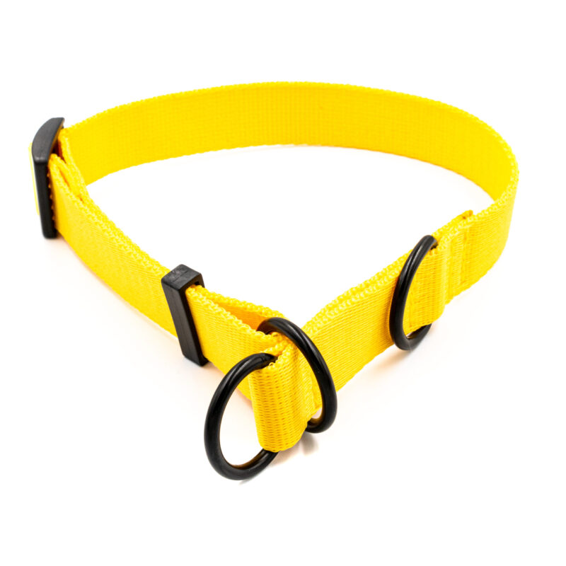 Obroża półzaciskowa mono zółta