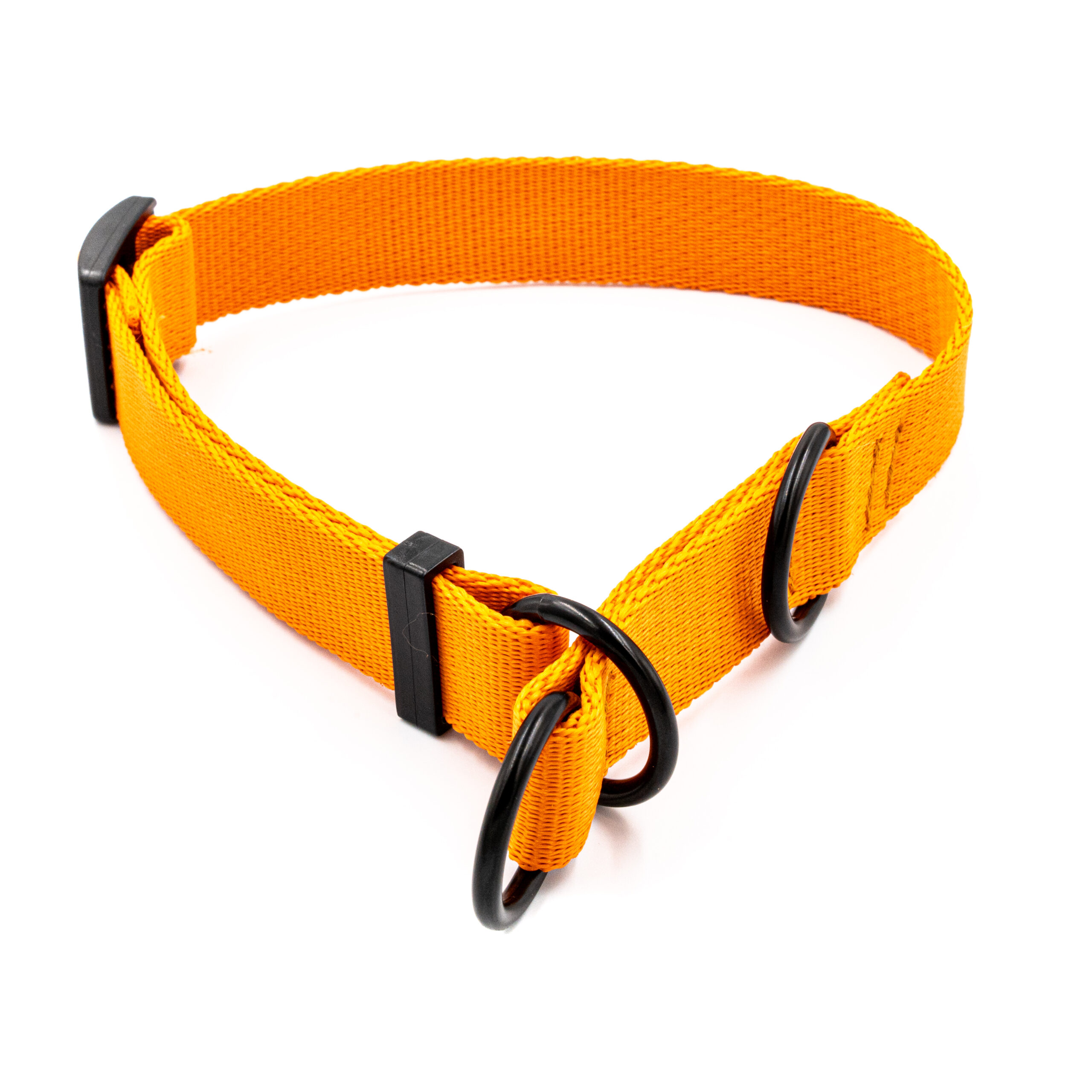 Obroża półzaciskowa mono pomarańczowa