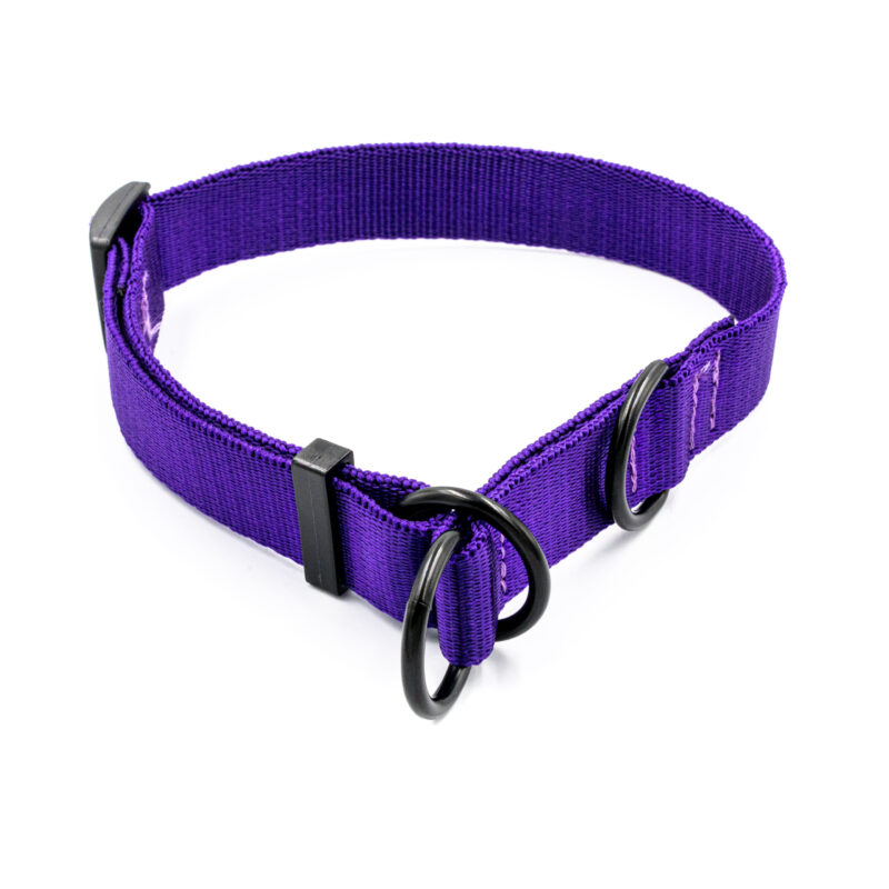 Obroża półzaciskowa mono tfioletowa