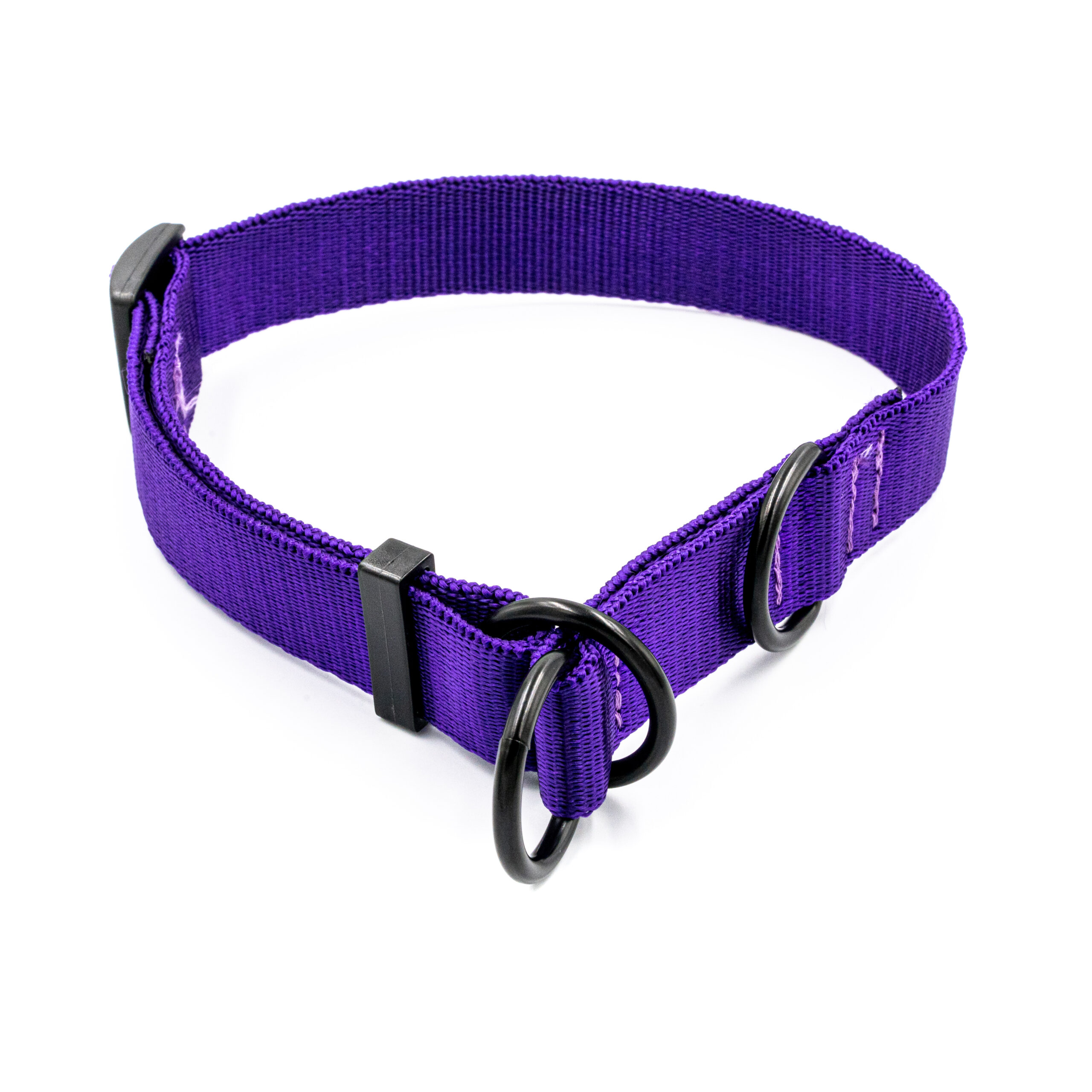 Obroża półzaciskowa mono tfioletowa