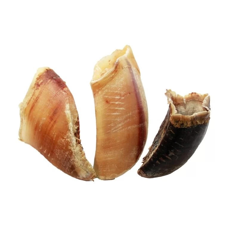 kopyta wołowe kopyta wołowe