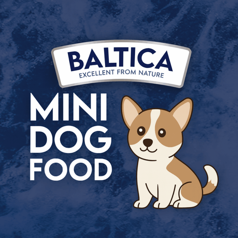 baltica smaki regionów adult xs/s