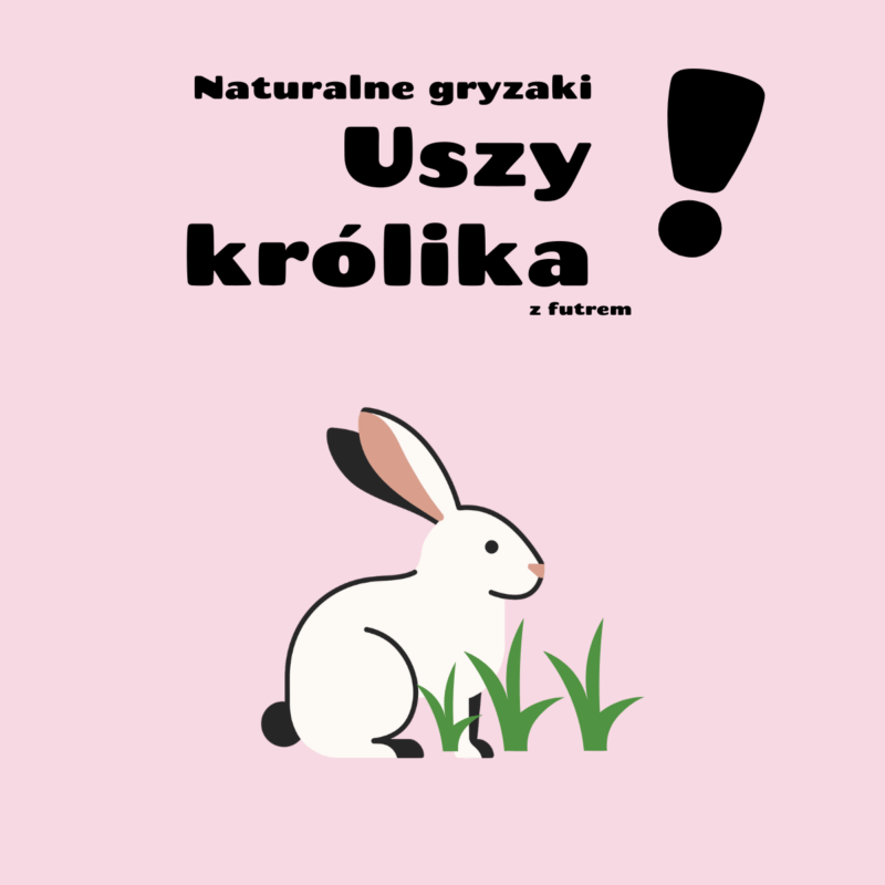 uszy królika z futrem