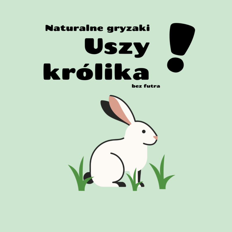 uszy królika bez futra