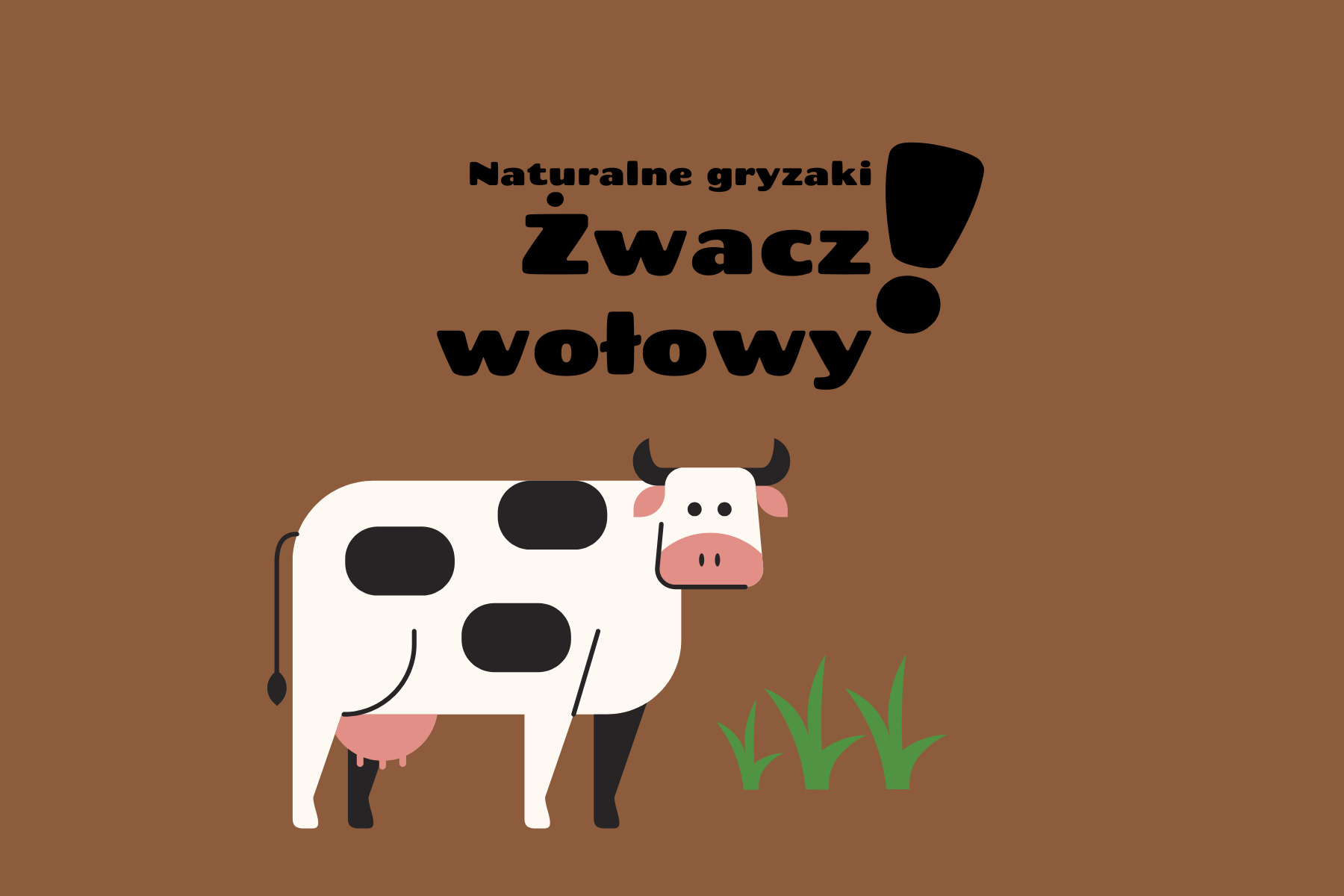 Żwacz wołowy