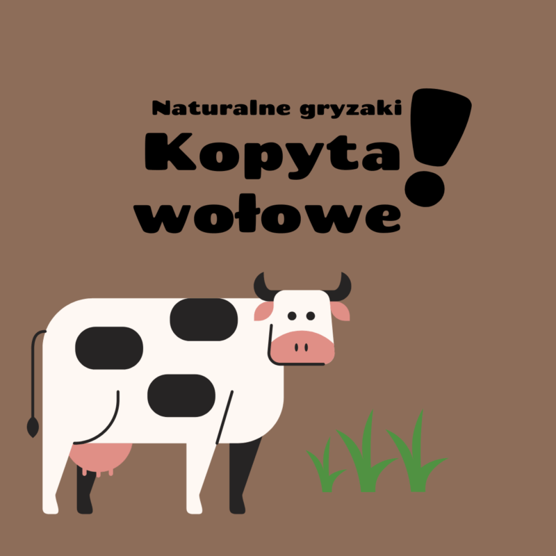 kopyta wołowe