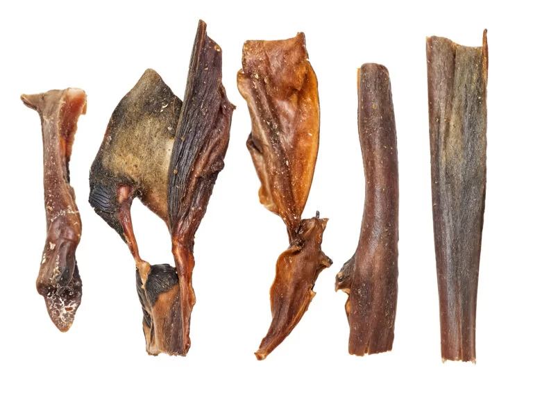 4fc1ca29a0a5af967029d77ceccfe3ba-768×566 skóry wielbłąda