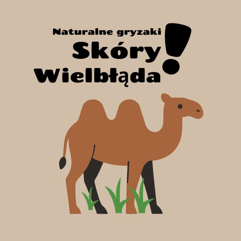 skóry wielbłąda