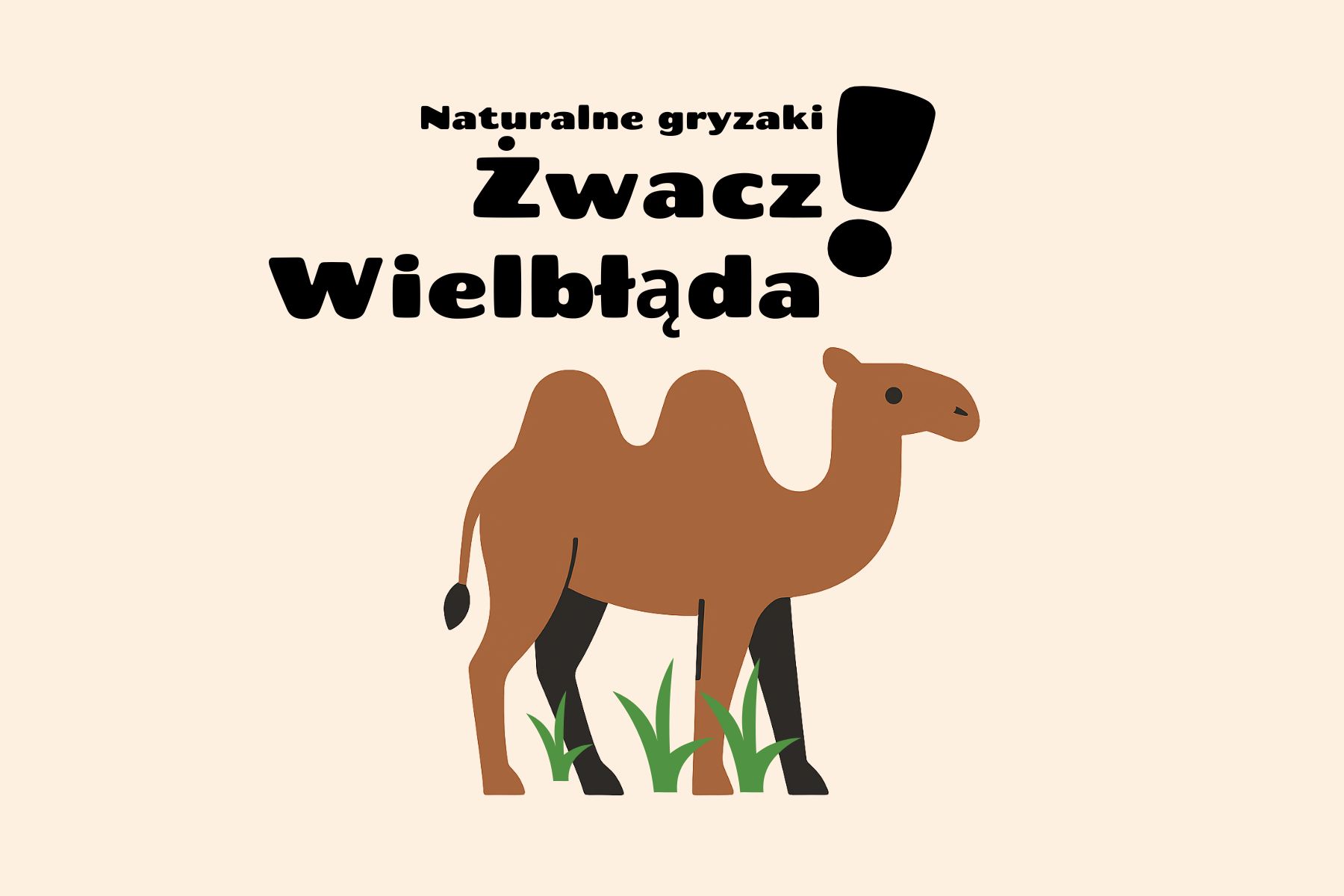 Żwacze wielbłąda