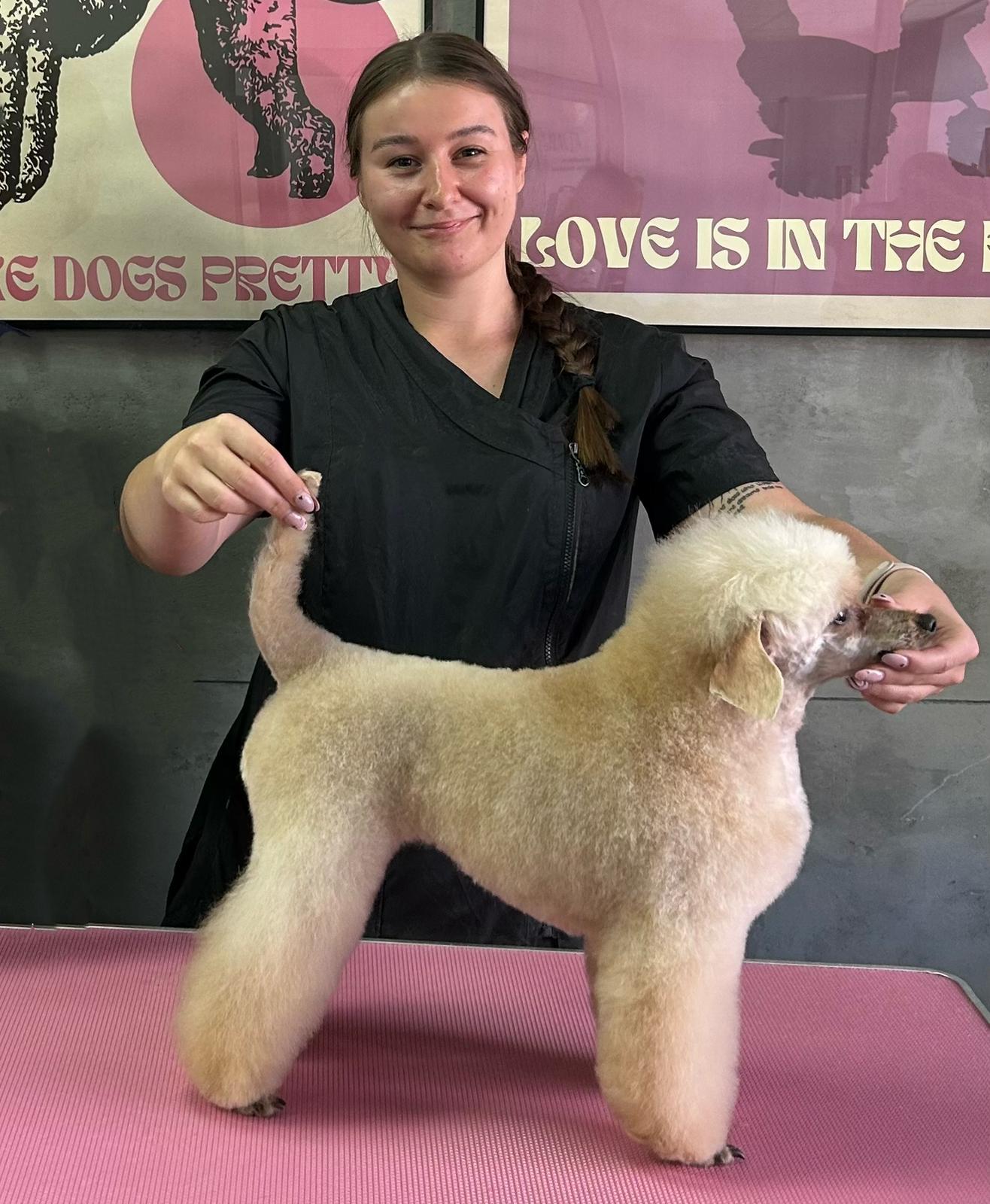 whatsapp image 2025 12 19 at 21.46.11